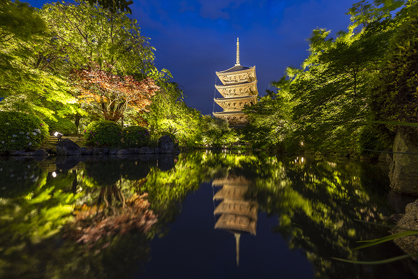 【世界遺産コラボ企画】東寺　夜間特別拝観