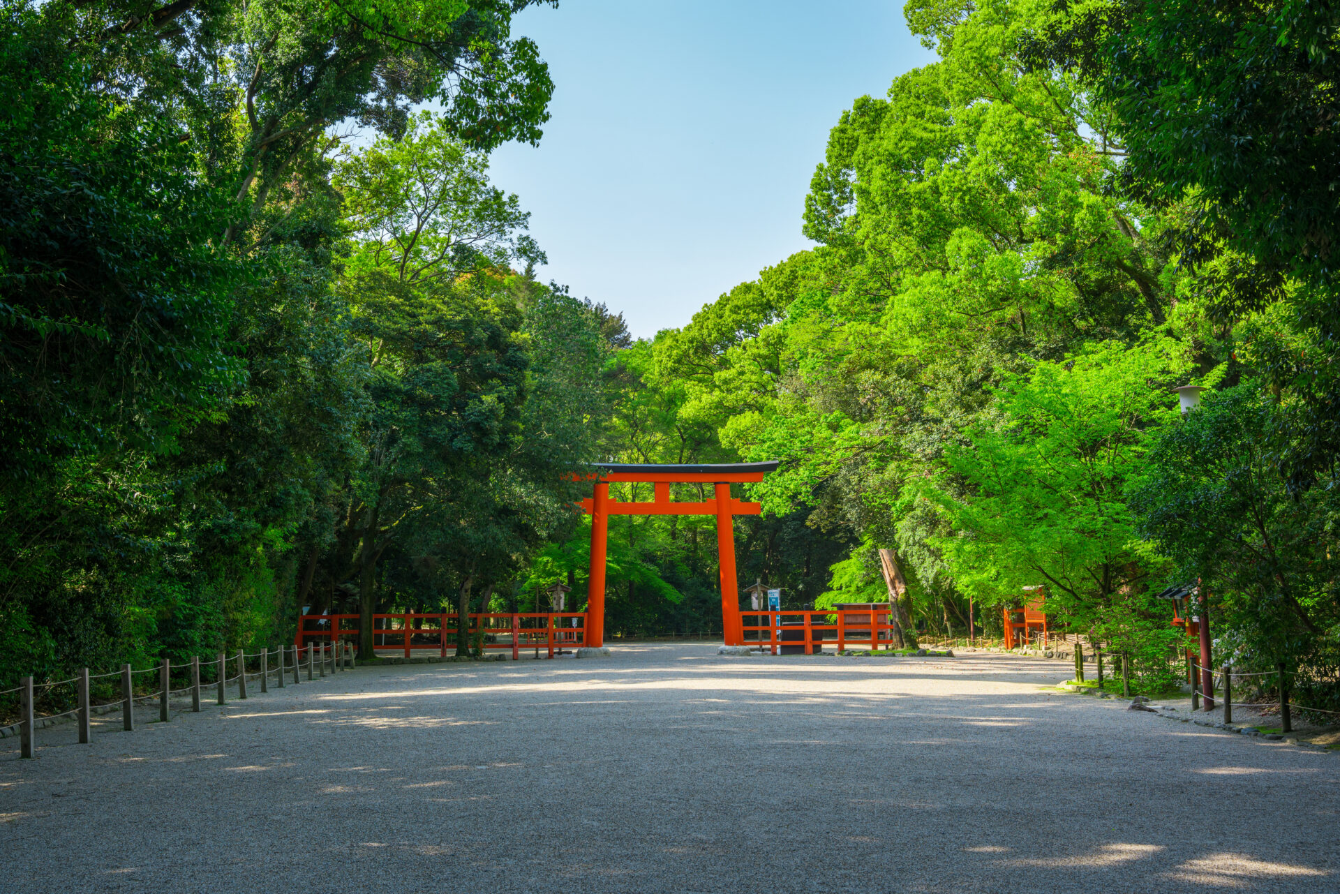 京都の中心に広がる古代の森