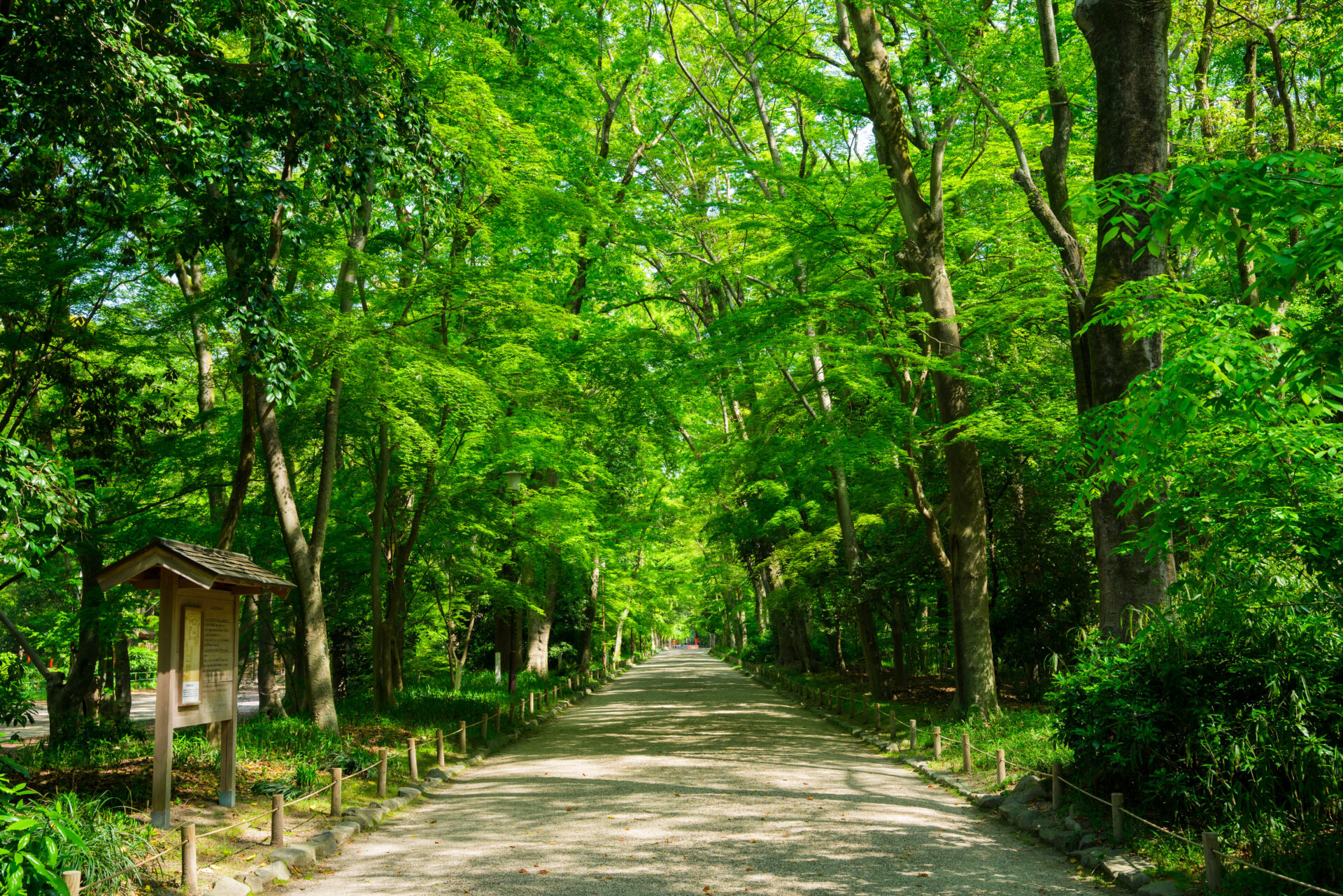 神社の森がもつ意味