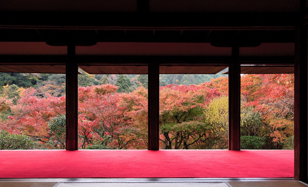 まるっと京都：世界遺産・高山寺と”日本の原風景”美山かやぶきの里
～秋の風情にふれる京の奥座敷旅～