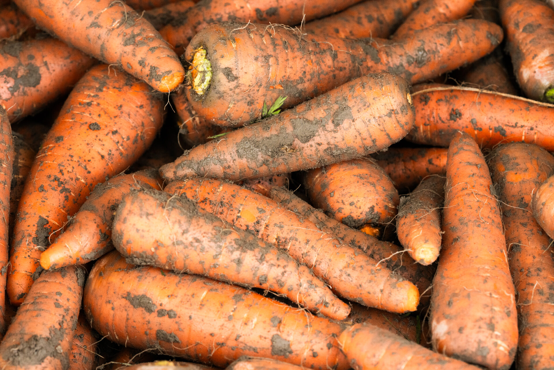 デジキャビACEホテル